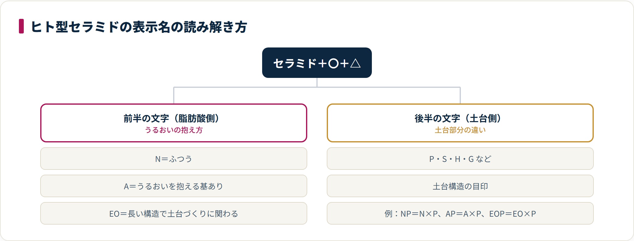 ヒト型セラミドの表示名がセラミドに前半(脂肪酸側 N/A/EO)と後半(土台側 P/S/H/G)を組み合わせた構造であることを示した図