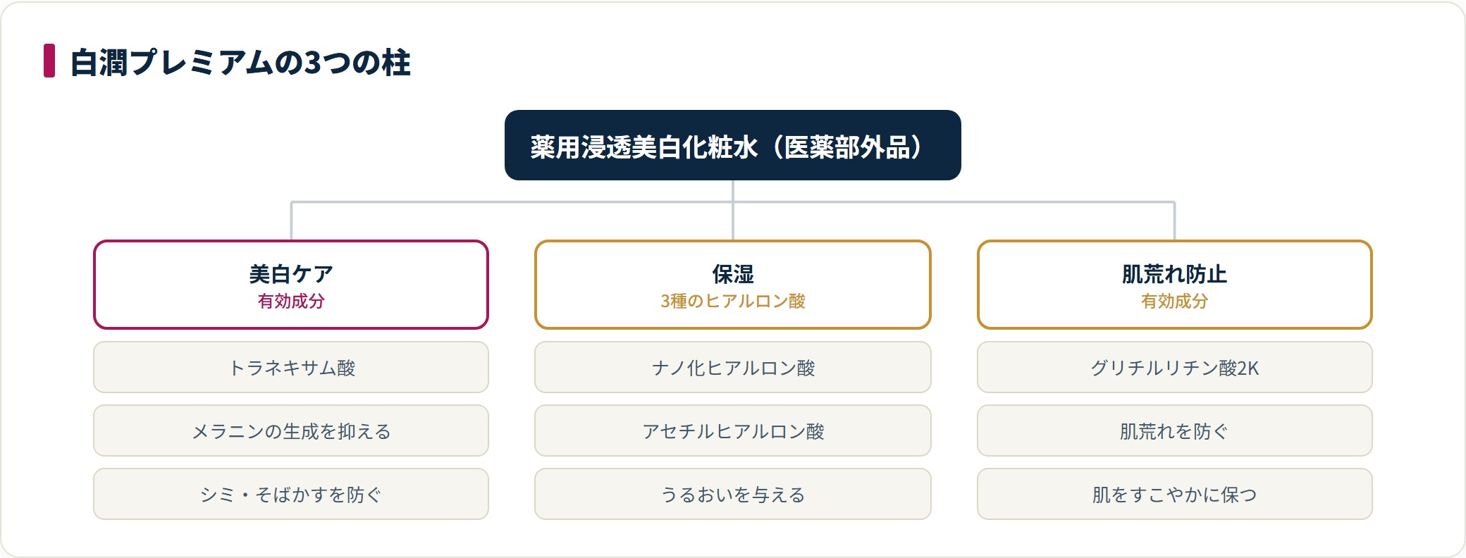 白潤プレミアムの3つの柱(美白ケア・保湿・肌荒れ防止)と対応する主要成分を示した図。