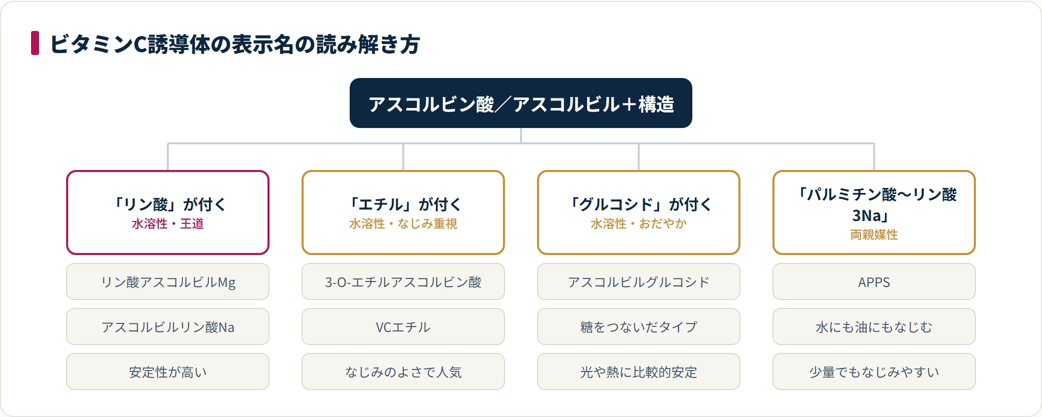 ビタミンC誘導体の表示名を、リン酸型・エチル・グルコシド(水溶性)とパルミチン酸を含むAPPS(両親媒性)に分けて読み解く図