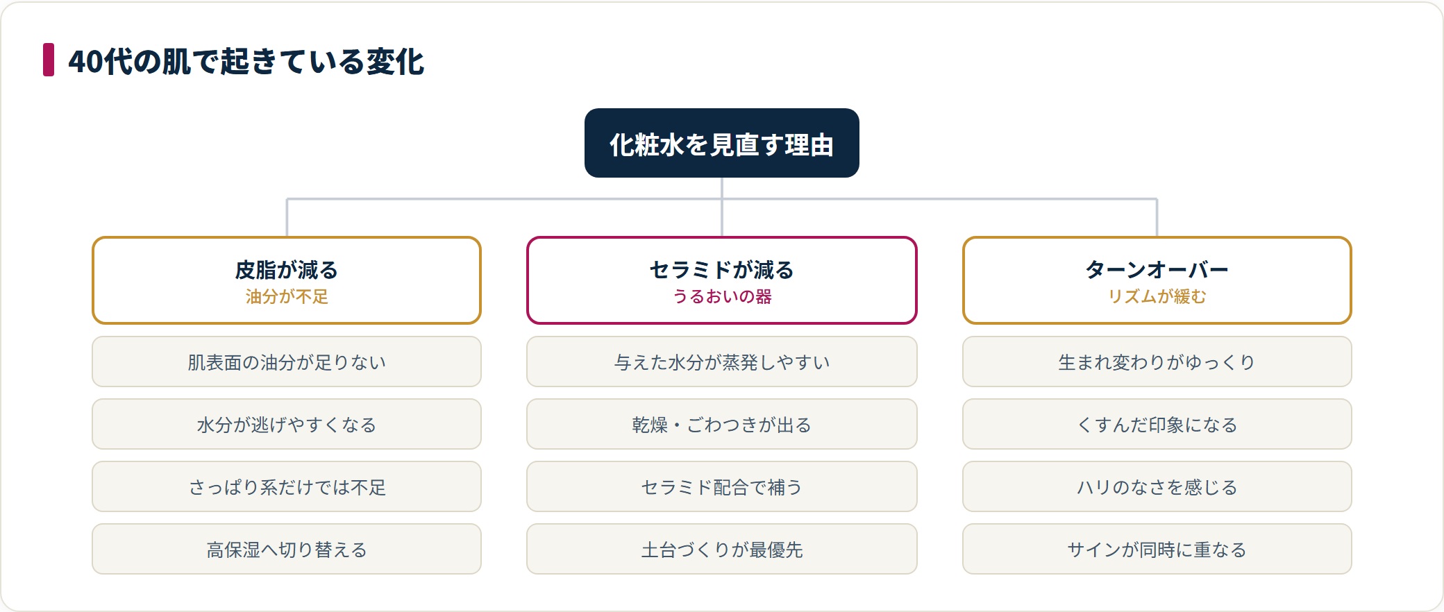 40代の肌で起きている変化を整理したツリー図。皮脂の減少、セラミドの減少、ターンオーバーの変化に分け、それぞれ現れやすいサインを示している。