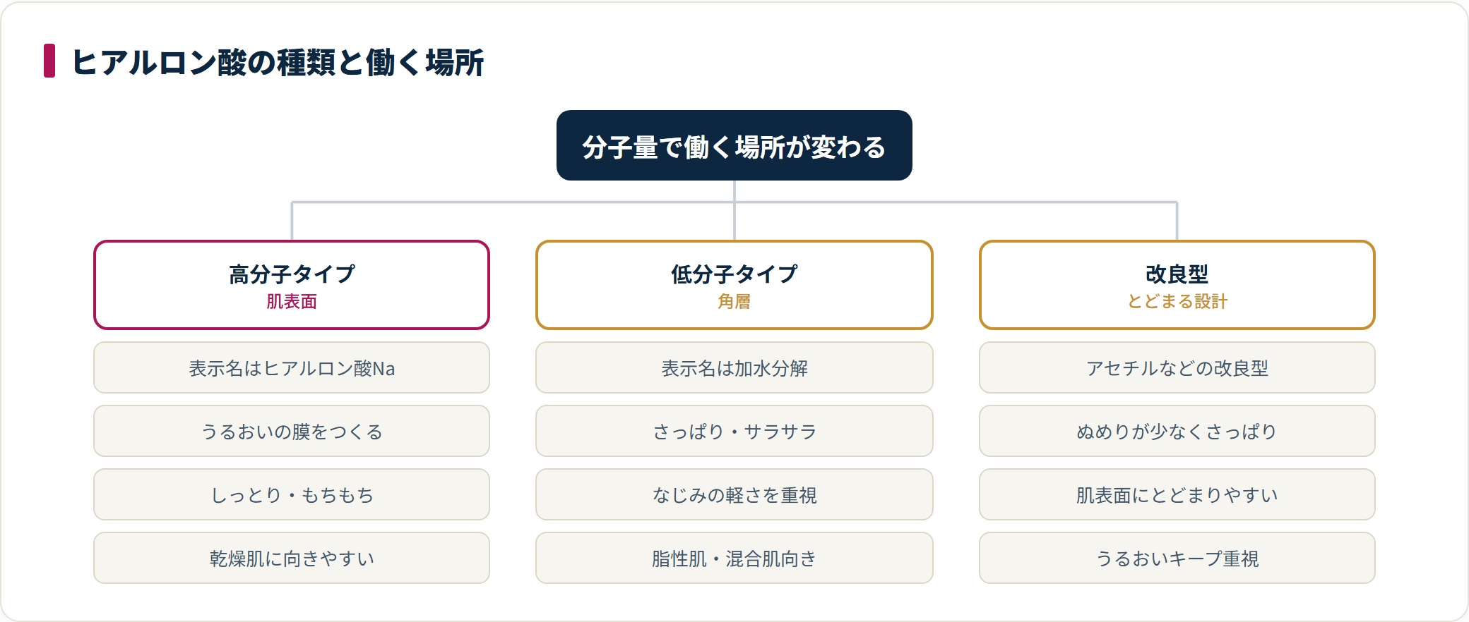 ヒアルロン酸の種類を高分子・低分子・改良型の3つに整理し、それぞれ主に働く場所と使用感の傾向を示した図。